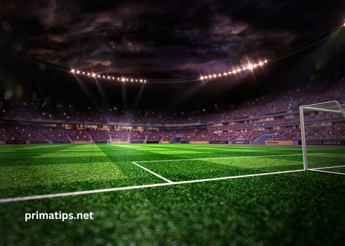 254 tips prediction