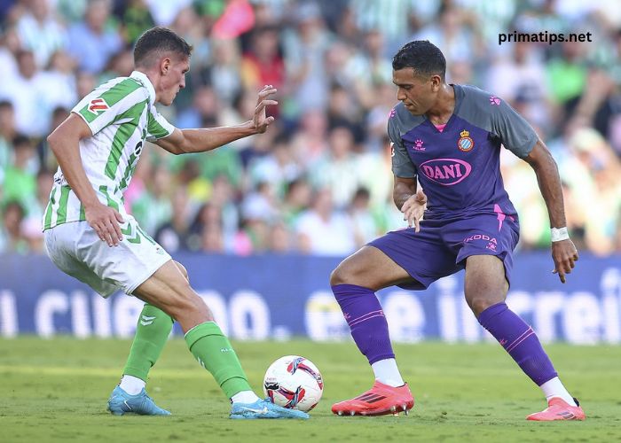 FootballWhispers - Expert Football Predictions & Market News